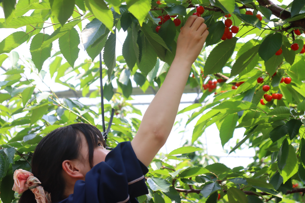 盛岡ターミナルビル株式会社