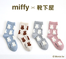 【 miffy × kutsushitaya 】[靴下屋]