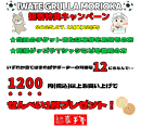いわてグルージャ盛岡観戦特典キャンペーン［南部せんべい乃 巖手屋］