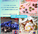 ８月限定商品＆配送キャンペーンのお知らせ[サロンドロワイヤル　タカタ]