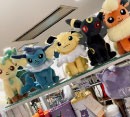 \\   ⭐︎ポケモンコーナー展開中⭐︎　//［Kiitos］