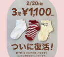 ついに復活！！靴下屋の3P￥1,100［靴下屋］
