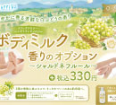 ボディミルク香りのオプション～ シャルドネフルール ～ （2026/9/1～11/30まで）［ラフィネ］